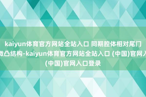 kaiyun体育官方网站全站入口 同期腔体相对尾门还带有微凸结构-kaiyun体育官方网站全站入口 (中国)官网入口登录