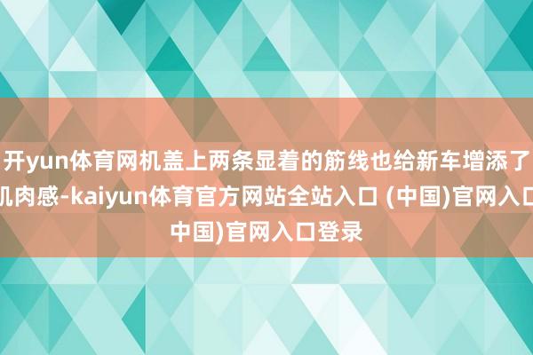 开yun体育网机盖上两条显着的筋线也给新车增添了不少肌肉感-kaiyun体育官方网站全站入口 (中国)官网入口登录