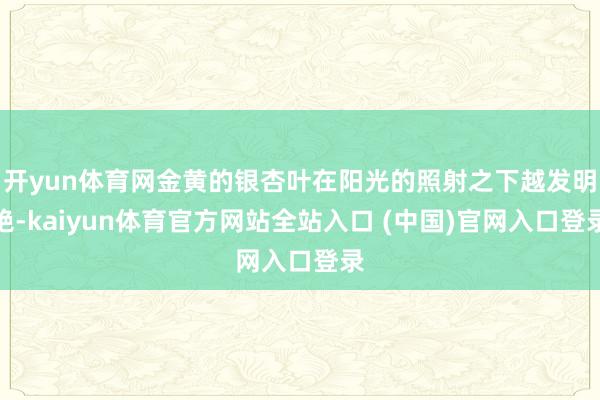 开yun体育网金黄的银杏叶在阳光的照射之下越发明艳-kaiyun体育官方网站全站入口 (中国)官网入口登录