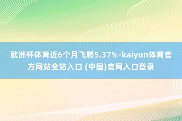 欧洲杯体育近6个月飞腾5.37%-kaiyun体育官方网站全站入口 (中国)官网入口登录